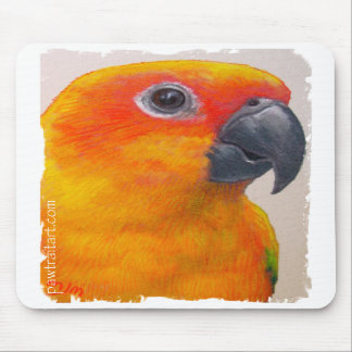 Mousepad - Papagei Sun Conure