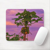 Mousepad Papaya Tree und brasilianischer Sonnenunt (Mit Mouse)