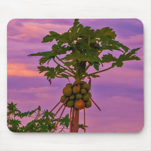 Mousepad Papaya Tree und brasilianischer Sonnenunt (Vorne)