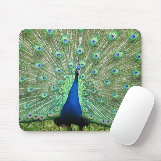 Mousepad - Peacock (Mit Mouse)