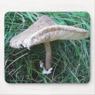 Mousepad Pilz mit vornherein