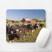 Mousepad Rainier Cattle (Mit Mouse)