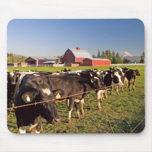 Mousepad Rainier Cattle (Vorne)
