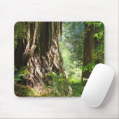 Mousepad Redwood Trees befördert zu Opa! (Mit Mouse)
