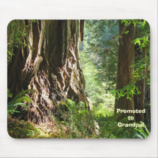 Mousepad Redwood Trees befördert zu Opa!