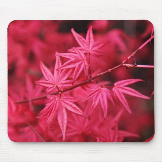 Mousepad-Roter Ahornbaum Mousepad (Vorne)
