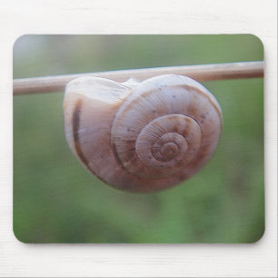 Mousepad Schnecke am Stäbchen