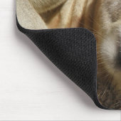 Mousepad Sleeping Kangaroo Foto Australien (Ecke)