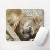 Mousepad Sleeping Kangaroo Foto Australien (Mit Mouse)