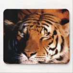 Mousepad "Sleeping Tiger"<br><div class="desc">Passen Sie dieses Element an,  um alles zu sagen,  was Ihnen gefällt!</div>