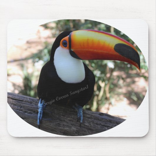 Mousepad Toucan (Vorne)