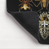 Mousepad Vintag Artist Ernst Haeckel Arachnida (Ecke)