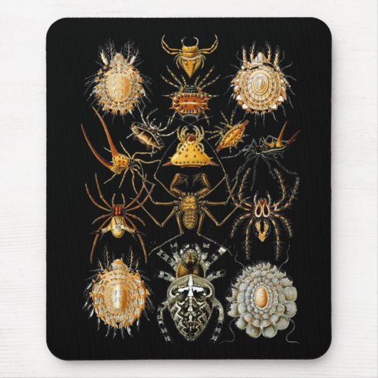 Mousepad Vintag Artist Ernst Haeckel Arachnida (Vorne)