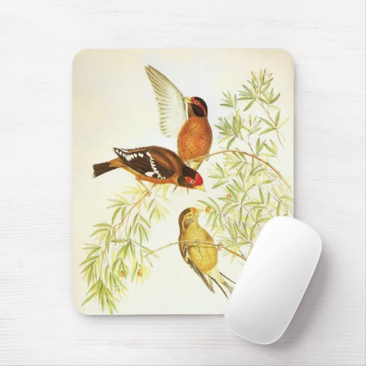 Mousepad Vintag Spectacled Finch Birds (Mit Mouse)