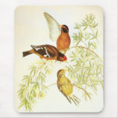 Mousepad Vintag Spectacled Finch Birds (Vorne)