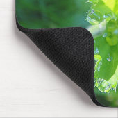 Mousepad Wassertropfen am Frauenmantelblatt (Ecke)