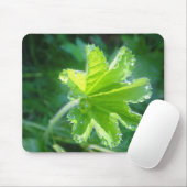 Mousepad Wassertropfen am Frauenmantelblatt (Mit Mouse)