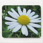 Mousepad weisse Margeritenblüte (Vorne)