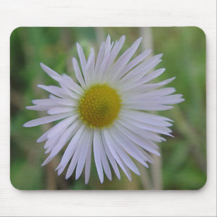 Mousepad weisse Wildblüte
