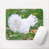 Mousepad - weißes Eichhörnchen (Mit Mouse)