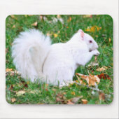 Mousepad - weißes Eichhörnchen (Vorne)
