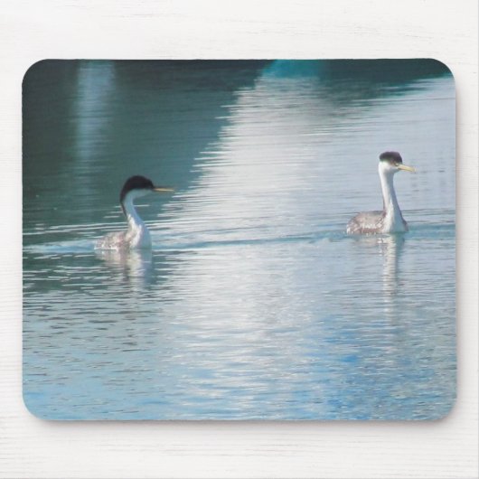 Mousepad - Western Grebe (Vorne)