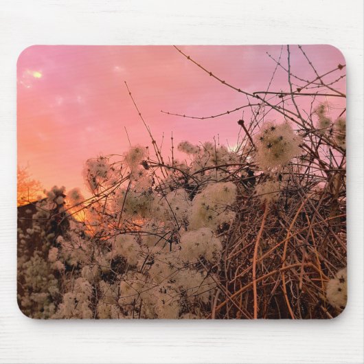 Mousepad Winter Sunset and Clematien Vines (Vorne)