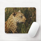 Mousepads wildes Tier des Leoparden (Alarm u. oben (Mit Mouse)