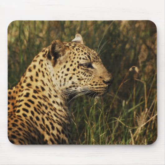 Mousepads wildes Tier des Leoparden (Alarm u. oben (Vorne)