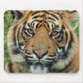 Mousepadtiger Mousepad (Vorne)