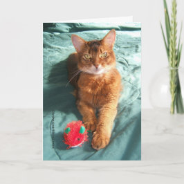 Mousey Catmas Weihnachtskarte Feiertagskarte