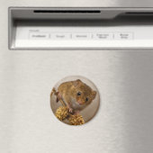 Mousie Magnet (In Situ (Geschirrspüler))