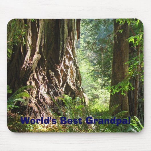Mouspads Redwood Trees Mousepad (Vorne)