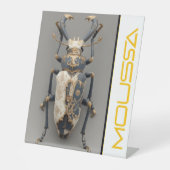 MOUSSA PEDESTAL SIGN SOCKELSCHILD (Vorderseite)