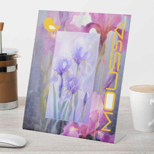 MOUSSA SOCKELSCHILD (In Situ)