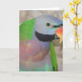 Moustached Parakeet Karte (Gelbe Blume)