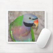 Moustached Parakeet Mousepad (Mit Mouse)