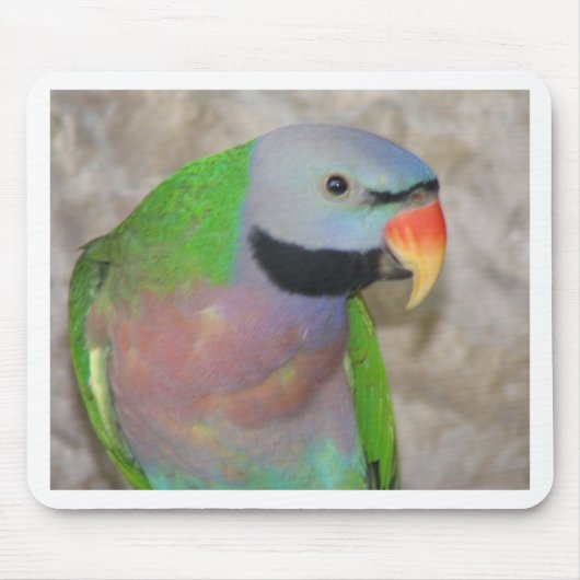 Moustached Parakeet Mousepad (Vorne)
