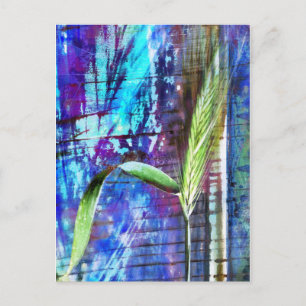 Moutere Harvest Postkarte