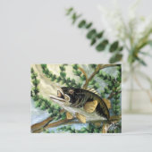 Mouth Bass Postkarte (Stehend Vorderseite)
