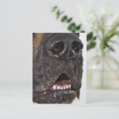 Mouth of Great Dane, nah-up Postkarte (Stehend Vorderseite)