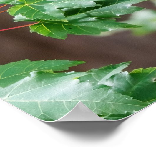 Mouthful Poster (Ecke)