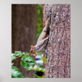 Mouthful Poster (Vorne)