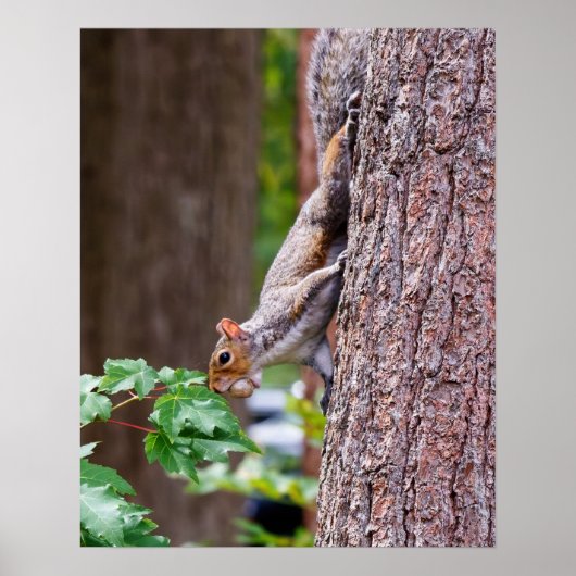 Mouthful Poster (Vorne)