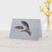 Möve im Flug alki heute Karte (Gelbe Blume)