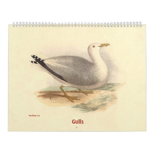 Möve lithographiert - von den Vögeln von New York Kalender