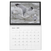 Möven der Eriesee-des Wandkalenders Kalender (Mär 2027)