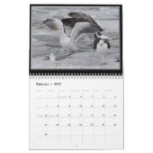 Möven der Eriesee-des Wandkalenders Kalender (Feb 2027)