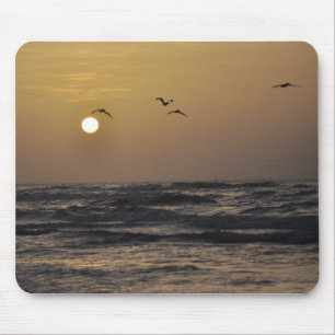 Möven und Sonnenuntergang auf Texas-Küste Mousepad