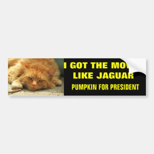 Moves Like Jaguar Pumpkin for President Autoaufkleber